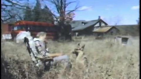 The Blue 1975 - THE-BLUE-Lions-for-Breakfast11.jpg