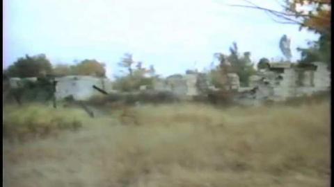 The Blue 1975 - THE-BLUE-Lions-for-Breakfast12.jpg