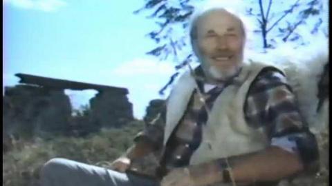 The Blue 1975 - THE-BLUE-Lions-for-Breakfast5.jpg