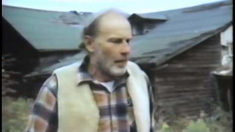 The Blue 1975 - THE-BLUE-Lions-for-Breakfast13.jpg