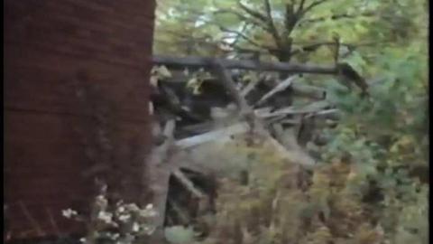 The Blue 1975 - THE-BLUE-Lions-for-Breakfast6.jpg