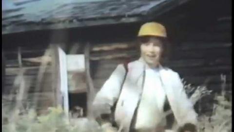 The Blue 1975 - THE-BLUE-Lions-for-Breakfast7.jpg