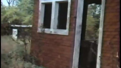 The Blue 1975 - THE-BLUE-Lions-for-Breakfast15.jpg