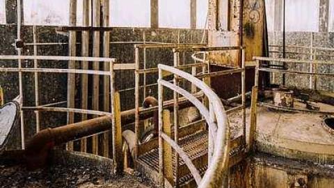 Photo from Second Visit