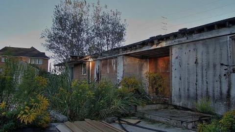 Bad to the Bones - 1a.jpg