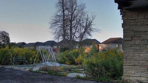 Bad to the Bones - 2.jpg