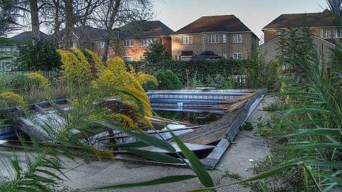 Bad to the Bones - 2a.jpg