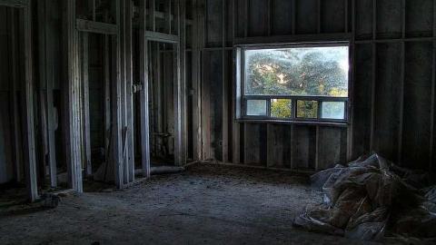 Bad to the Bones - 3.jpg