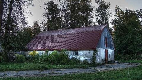 Bad to the Bones - 6.jpg