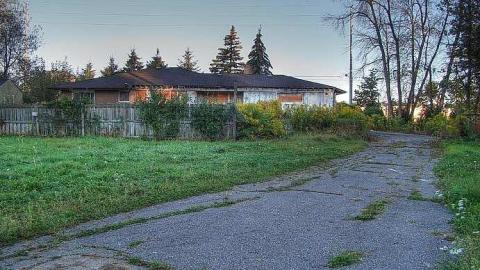 Bad to the Bones - 8.jpg