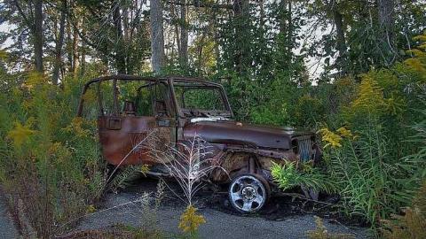 Bad to the Bones - 8a.jpg