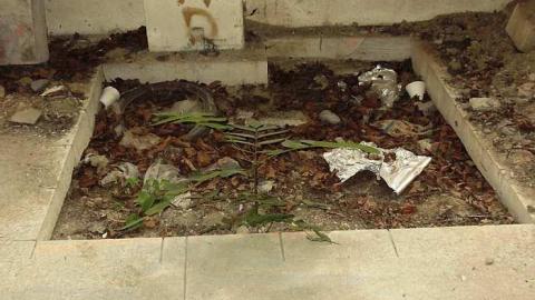 August 2017 Visit - Naked-Fire-Sale13.jpg