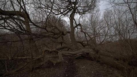 The ground and power building - Long-Branch-Arsenal-Lands38.jpg