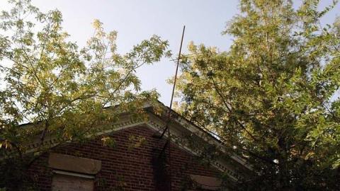 Photo from House Still There