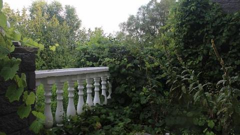 Photo from July 31st