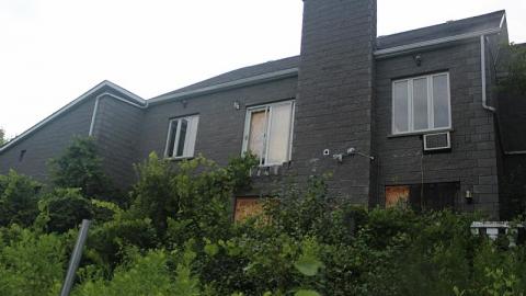 Photo from July 31st