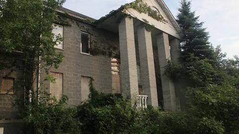 Photo from July 31st