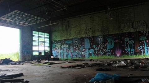 Photo from July 26th