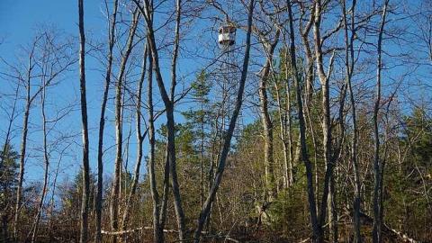 Old Fire Tower photo 3