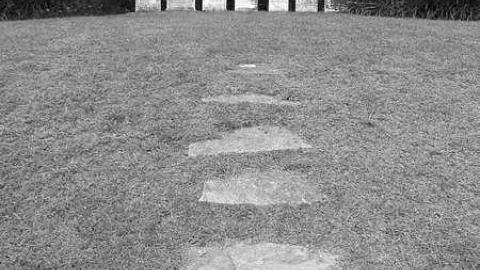 B&W Holsteins - Holstein-Pioneer-Cemetery11.jpg