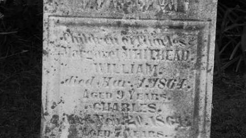 B&W Holsteins - Holstein-Pioneer-Cemetery17.jpg