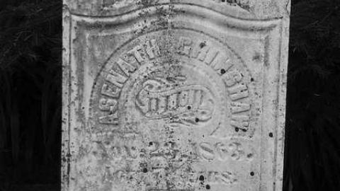 B&W Holsteins - Holstein-Pioneer-Cemetery18.jpg