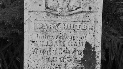 B&W Holsteins - Holstein-Pioneer-Cemetery14.jpg