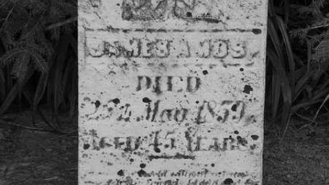 Photo from B&W Holsteins