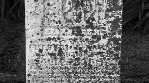 Photo from B&W Holsteins