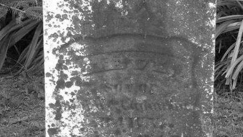 B&W Holsteins - Holstein-Pioneer-Cemetery20.jpg