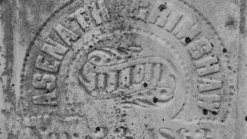 Photo from B&W Holsteins