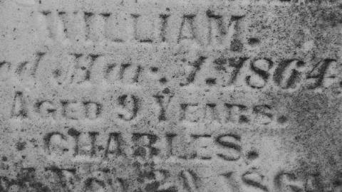 B&W Holsteins - Holstein-Pioneer-Cemetery9.jpg