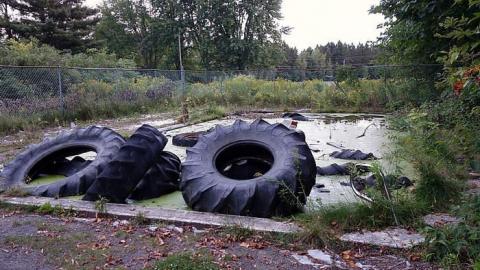 Our Lady Of Chesnaie '17 - Seeking-Asylum24.jpg