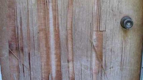 Wilson's Con - Oshawa, Ontario