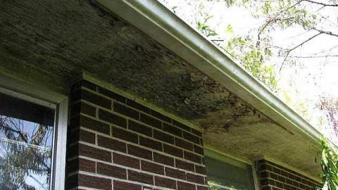 The Italian Job - Wilsons-Con17.jpg