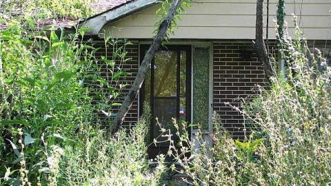 Wilson's Con photo 5