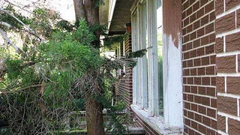 Wilson's Con photo 4