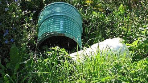 The Italian Job - Wilsons-Con42.jpg