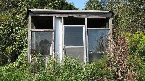 The Italian Job - Wilsons-Con25.jpg