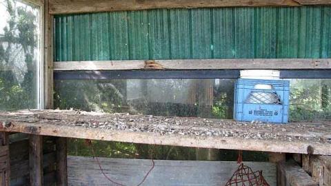 The Italian Job - Wilsons-Con43.jpg