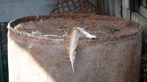 The Italian Job - Wilsons-Con26.jpg