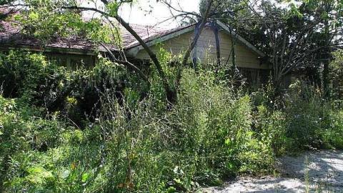 The Italian Job - Wilsons-Con46.jpg