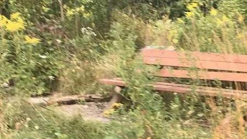 Name - Taras-Shevchenko-Park66.jpg