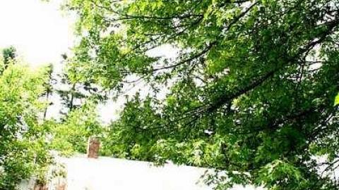 McKay House - Mother-Marys-Messy-Mansion136.jpg