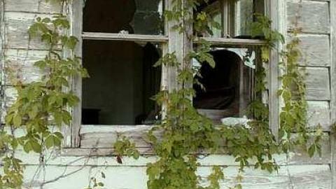 Photo from McKay House