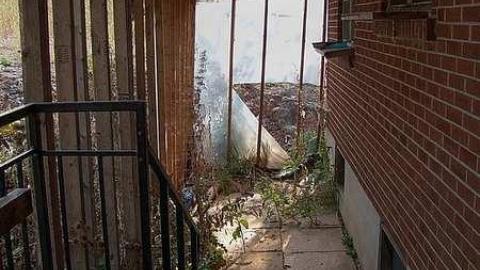 Angela's Abode photo 4