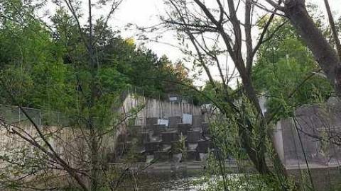 Photo from New Gaping Hole