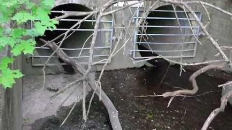 Photo from New Gaping Hole