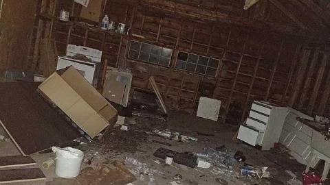 Lots. Of. Spiders. - 20170924_000447.jpg