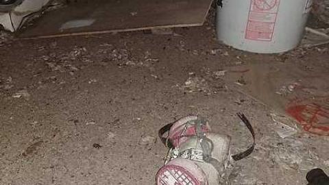 Lots. Of. Spiders. - 20170924_000906.jpg